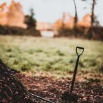 Compost adds a wide range of essential plant nutrients