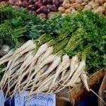Profitable Cash Crops For UK Gardens & Allotments Hamburg Parsley - Petroselinum crispum var. tuberosum