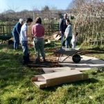 The Rise of Community Gardens Community Gardens