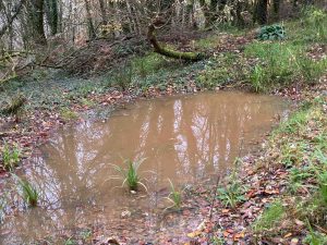 How to Improve Drainage In Clay Soils. Pond