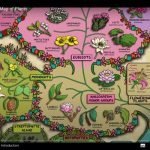world of plants video