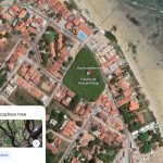 Worlds-largest-cashew-nut-tree-