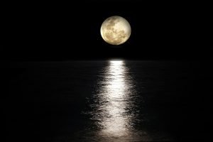 Moon phase gardening aka lunar sowing, biodynamic gardening 