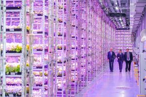 history of greenhouses, vertical farming.