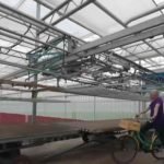 Ms-Flowers-Greenhouse.-Photo-Attribution.-