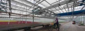 Europe’s Biggest Greenhouse