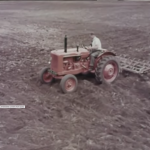 potato harvesting and cultivations