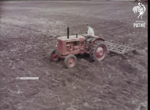 potato harvesting and cultivations