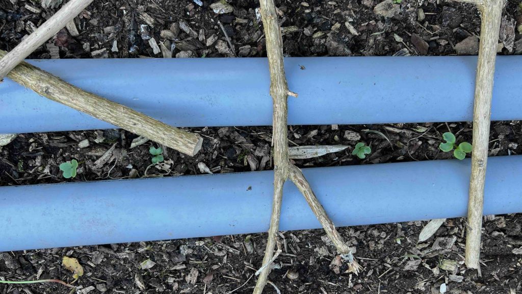 Top Gardening Tips