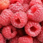 Food Forest Design & Build Problems Food Forest Design Problems and the role of the raspberry!