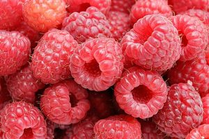 User:Fir0002, GFDL 1.2 <http://www.gnu.org/licenses/old-licenses/fdl-1.2.html>, via Wikimedia Commons Raspberry for a food forest 