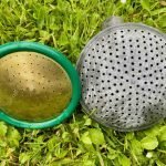 when should plants be watered?
