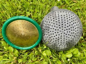 when should plants be watered?