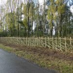 Hedge Laying . How to lay a hedge. Image attribution: Bob Harvey / Modern hedgelaying