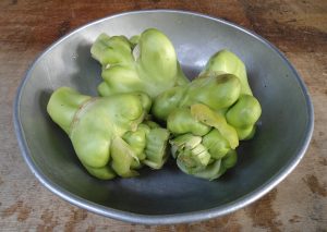 wa wa ga choi,
Attribution:
Anna Frodesiak, CC BY-SA 3.0, via Wikimedia Commons