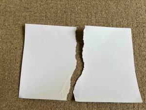 Shredding Paper Doesn't Speed Composting 