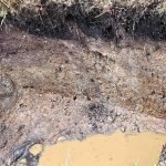 How To Prevent Soil Compaction In Garden & Allotment Soils Understanding Soil Profiles & Gley Soils
