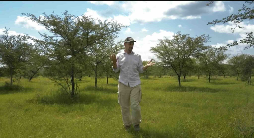 African Green Wall Food Forest Growing After 7-8 years