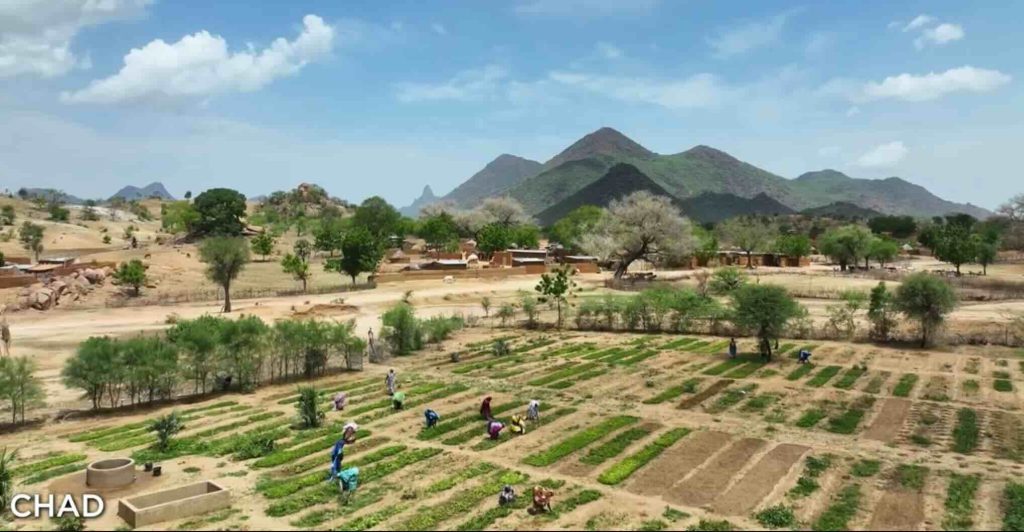 Africa's Green Wall Allotments & Gardens