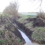 Effective Drainage In Gardens