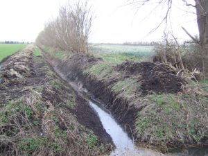 Effective Drainage In Gardens - Jonathan Billinger / Newly dug drain / CC BY-SA 2.0