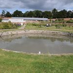 Dipping Ponds: A Garden's Timeless Hidden Gem 512px-Dipping_Pond_-_geograph.org.uk_-_4134296