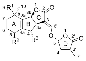 strigolactone molecule ... Cacycle, Public domain, via Wikimedia Commons
