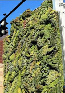 Caixa Forum, Madrid, the beginnings of vertical forests?