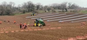 Sat Nav Planted Jersey Royals