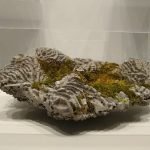 Bioreceptive concrete