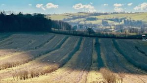 Broadlears Agroforestry Project, Dartington