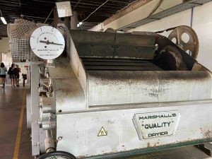 How To Grow Tea In The UK using English team manufacturing machinery 