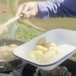 Jersey Royals Potato Harvest