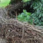 Dead Hedge Pros & Cons Dead hedge
