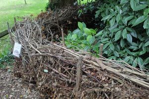 Dead hedge in Bristol. This one is a low level hedge, they can stand 2 metres or more in height. 