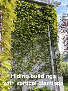 Hiding buildings with vertical plantings 