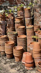 terracotta flower pots