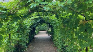 This vegetation tunnel also suits both siders of the Food Forest v Allotment debate Food Forest v Allotment