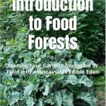 Food Forest Book Cover