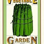 The Vegetable Plant Hunters: Vilmorin The Vegetable Plant Hunters: Vilmorin
