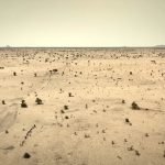 There's Hope For Gardeners & Lakes in the Desert Rewetting Arid Chad