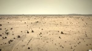 Lakes in the Desert