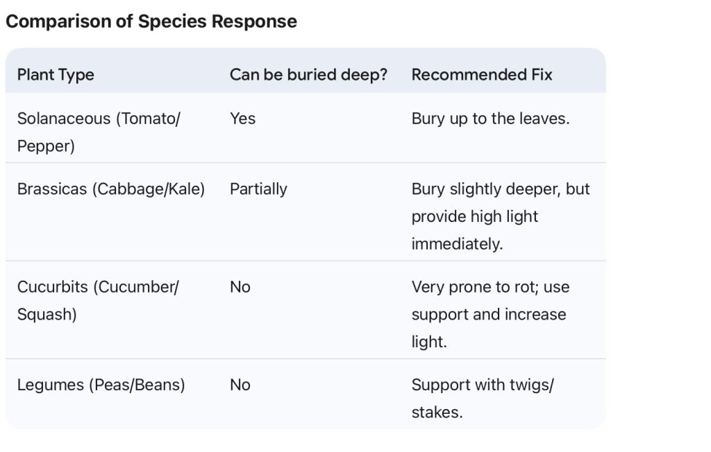 Comparison of Species Response to How To Stop Seedling From Going Leggy