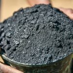 1280px-Charged_and_inoculated_biochar_ready_for_soil_application